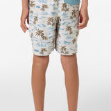 Boy's Hermosa Elastic Waist Lined 16" Swim Trunks