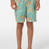 Boy's Hermosa Elastic Waist Lined 16" Swim Trunks