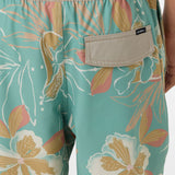 Boy's Hermosa Elastic Waist Lined 16" Swim Trunks