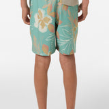 Boy's Hermosa Elastic Waist Lined 16" Swim Trunks