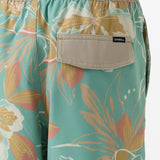 Boy's Hermosa Elastic Waist Lined 16" Swim Trunks