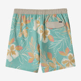 Boy's Hermosa Elastic Waist Lined 16" Swim Trunks