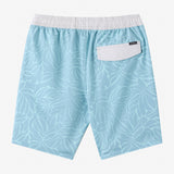 Boy's Hermosa Elastic Waist Lined 16" Swim Trunks