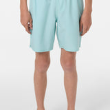 Boy's Lennox Hermosa Solid Volley 16" Swim Trunks