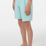 Boy's Lennox Hermosa Solid Volley 16" Swim Trunks