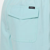 Boy's Lennox Hermosa Solid Volley 16" Swim Trunks