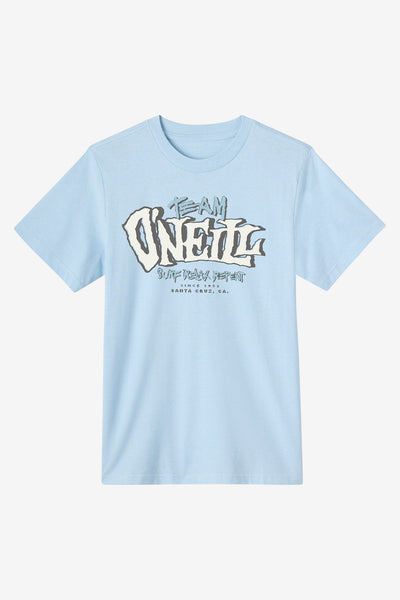 Boy's Team O'Neill Tee - Sky Blue Heather | O'Neill