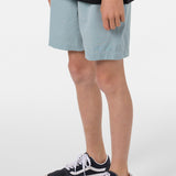 Boy's Reserve Light Check Elastic Waist 16" Hybrid Shorts - Stone Blue | O'Neill