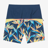 Hyperfreak Tech Block 20" Boardshorts