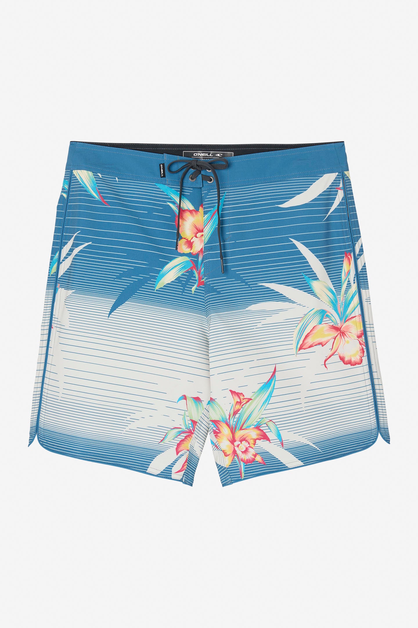 HYPERFREAK MYSTO SCALLOP 19" BOARDSHORTS