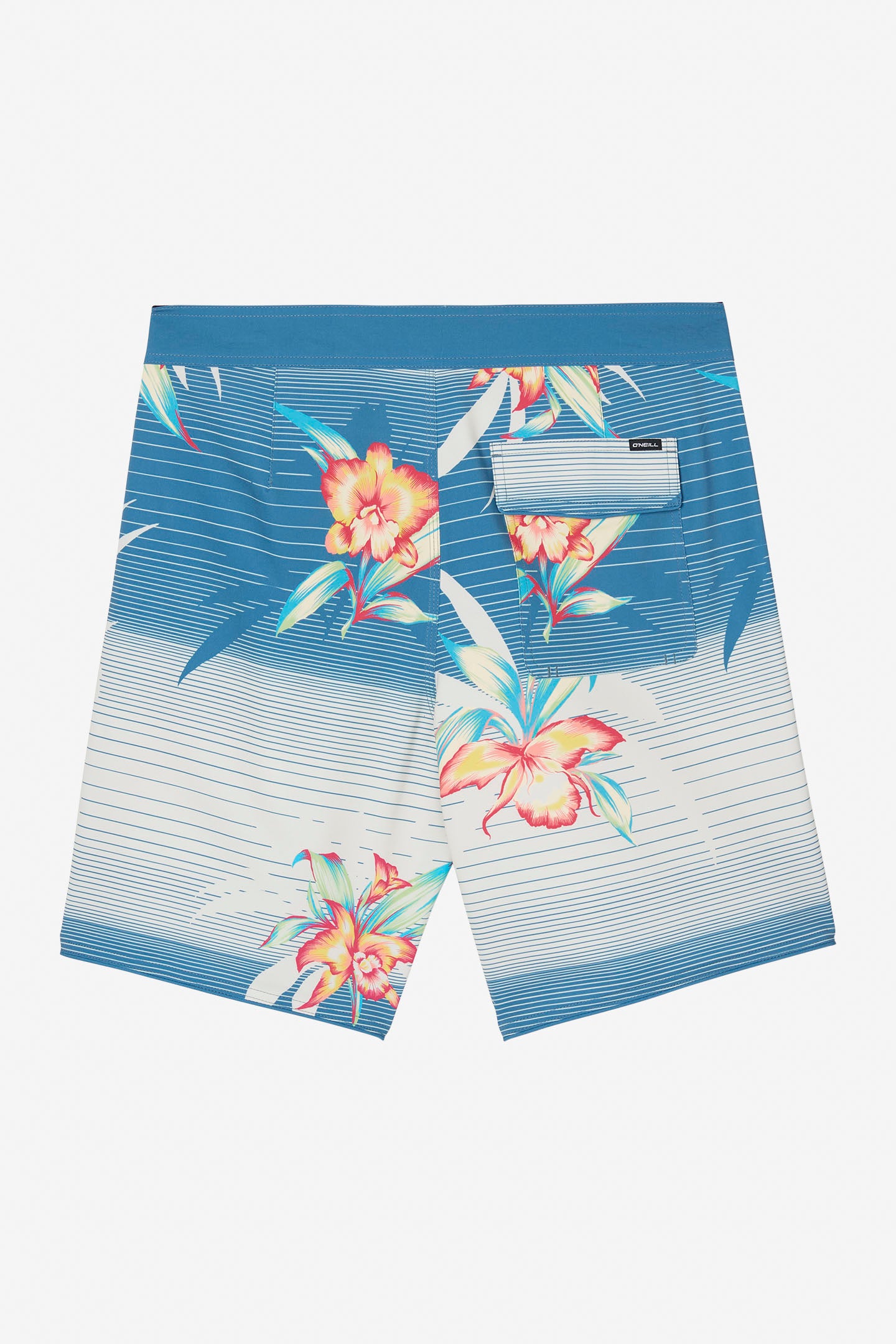 HYPERFREAK MYSTO SCALLOP 19" BOARDSHORTS