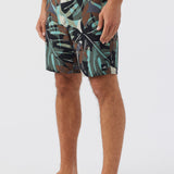 Hyperfreak Mysto 20" Boardshorts