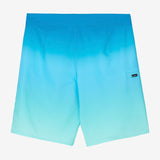 Hyperfreak Heat Variety 20" Boardshorts