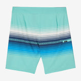 Hyperfreak Heat Stripe Line 19" Boardshorts
