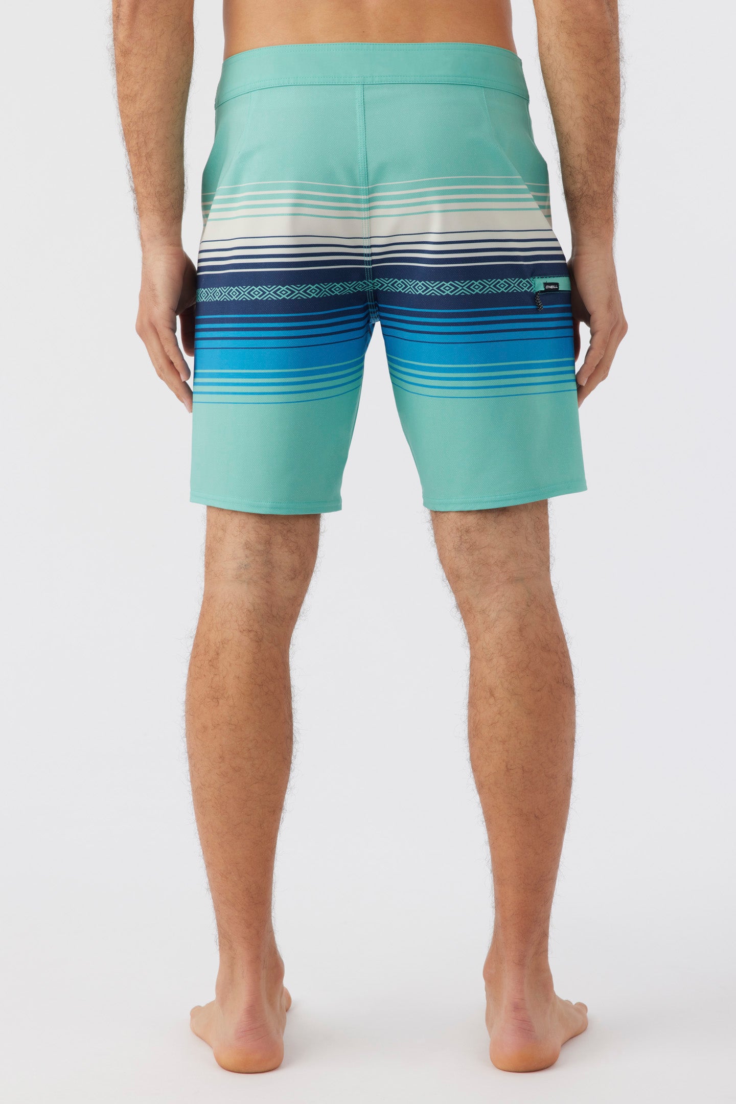 HYPERFREAK HEAT STRIPE LINE 19" BOARDSHORTS