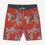 Cruzer 19" Boardshorts