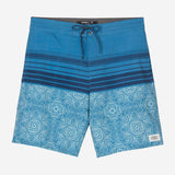 Cruzer 19" Boardshorts