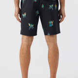 Cruzer 19" Boardshorts