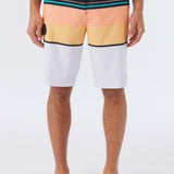 Lennox Stripe 21" Boardshorts