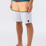 Lennox Stripe 21" Boardshorts