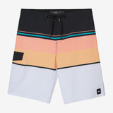 Lennox Stripe 21" Boardshorts