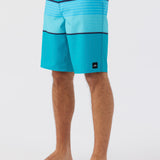 Lennox Stripe 21" Boardshorts