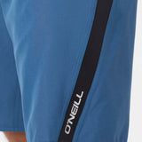 Superfreak Solid 21" Boardshorts