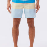 Block Volley Elastic Waist 17" Swim Trunks