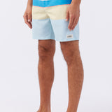 Block Volley Elastic Waist 17" Swim Trunks