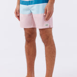 Block Volley Elastic Waist 17" Swim Trunks