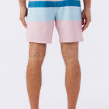 Block Volley Elastic Waist 17" Swim Trunks