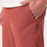 Reserve Slub 20" Hybrid Shorts