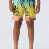 Boy's Hyperfreak Mysto 16" Boardshorts
