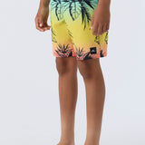 Boy's Hyperfreak Mysto 16" Boardshorts