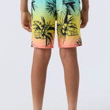 Boy's Hyperfreak Mysto 16" Boardshorts