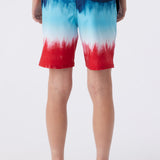 Boy's Hermosa Elastic Waist 16" Swim Trunks