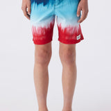 Boy's Hermosa Elastic Waist 16" Swim Trunks