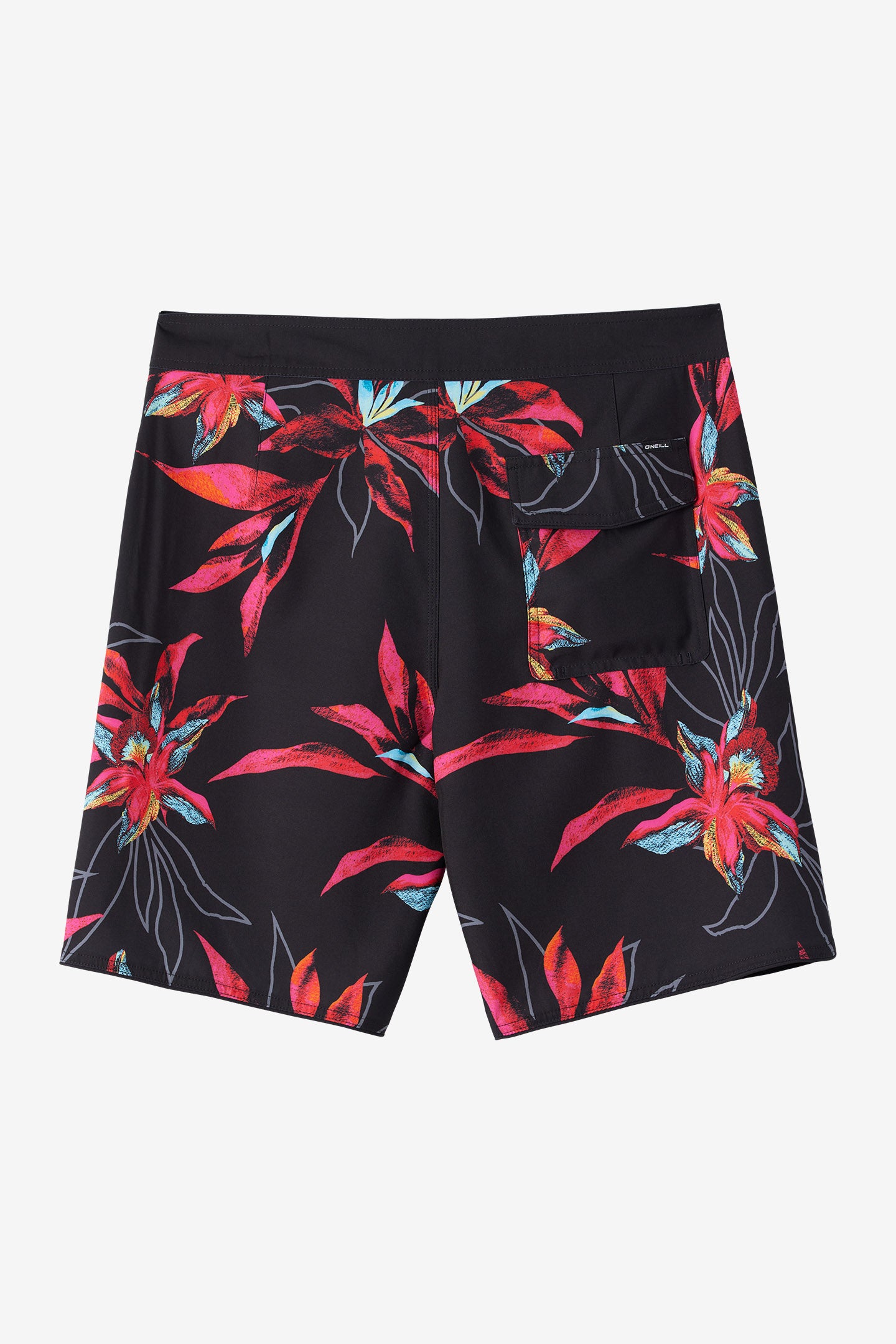 HYPERFREAK MYSTO SCALLOP 19" BOARDSHORTS