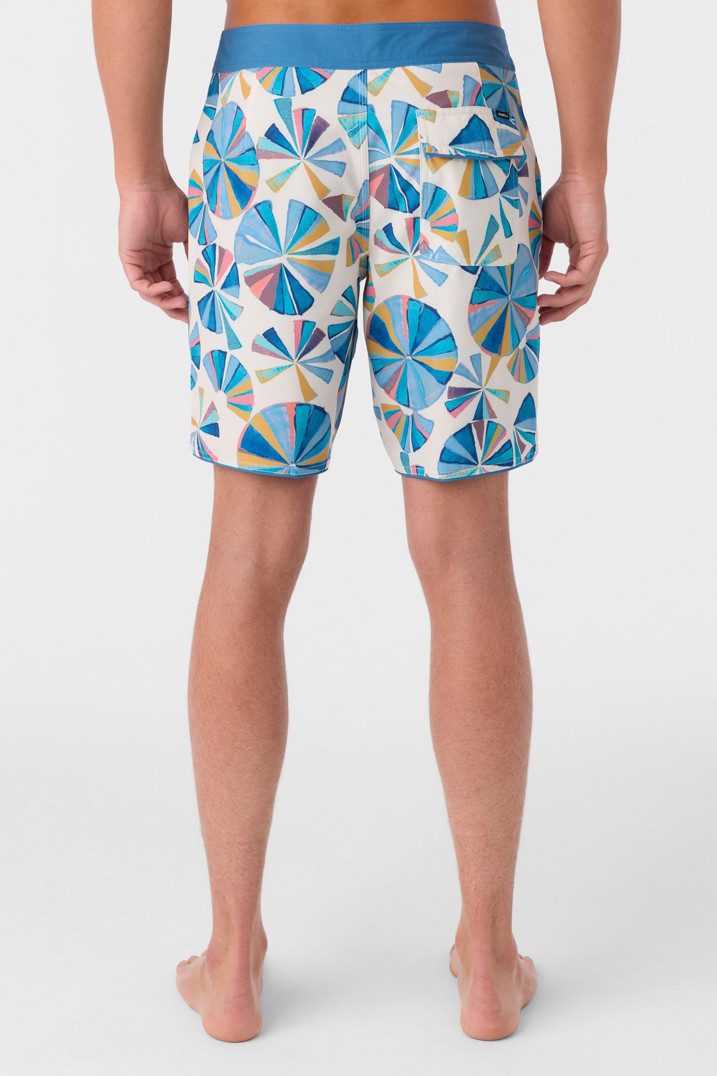 HYPERFREAK MYSTO SCALLOP 19" BOARDSHORTS