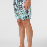 Hyperfreak Mysto Scallop 19" Boardshorts