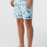 Hyperfreak Mysto Scallop 19" Boardshorts