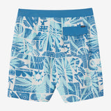 Hyperfreak Mysto 20" Boardshorts