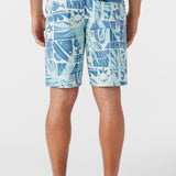 Hyperfreak Mysto 20" Boardshorts