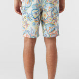 Hyperfreak Mysto 20" Boardshorts