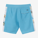 Hyperfreak Mysto Side Panel 19" Boardshorts