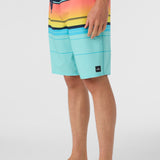 Hyperfreak Heat Stripe 21" Boardshorts