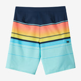Hyperfreak Heat Stripe 21" Boardshorts