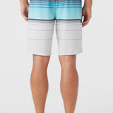 Hyperfreak Heat Stripe 21" Boardshorts