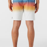 Hyperfreak Heat Stripe Line 19" Boardshorts