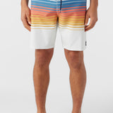 Hyperfreak Heat Stripe Line 19" Boardshorts